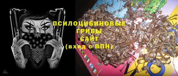 шишки Алзамай
