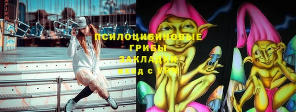 шишки Алзамай