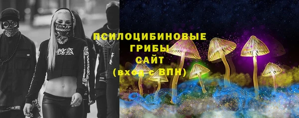 шишки Алзамай